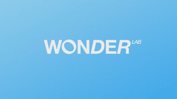 Удивительно эффективные экосредства WONDER LAB