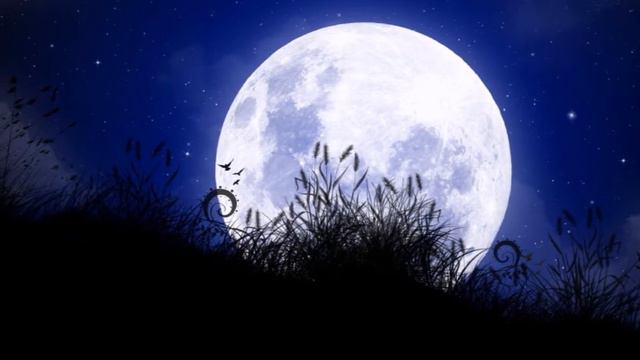 Janne Schaffer - Jag Vill Ha Ägen Måne смотреть онлайн