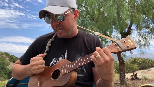 Ukulele Paper Planes by M.I.A cover by Two shots of Jameson смотреть онлайн