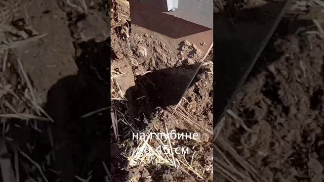 Почему его так любят смотреть онлайн