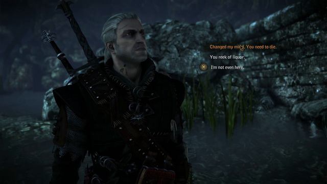 Let's Play The Witcher 2 [BLIND] - Part 20 - The Troll, Mystery Elvish Baths, Ruined Hospital смотреть онлайн