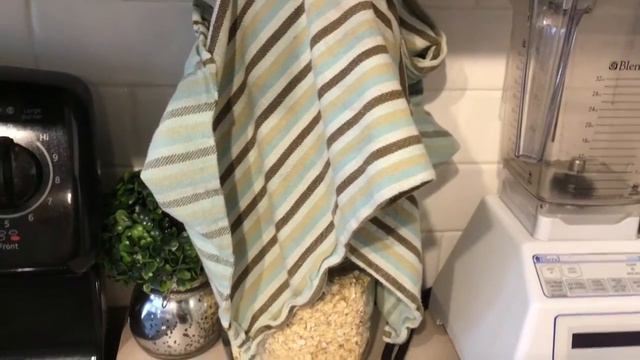 Grow Sprouts at Home Using 2 Items | Growing Food In Your Kitchen | Living Healthy with Diabetes смотреть онлайн