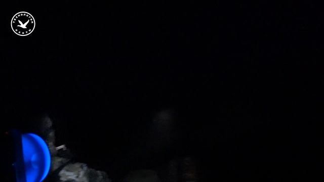 Охота в октябре в центре болота. Часть 1/3. Ночной заплыв. смотреть онлайн