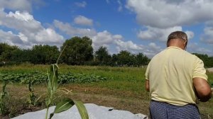 Родители забрали остатки вещей из Белгорода. Начали новый проект. Мы уехали в отпуск.