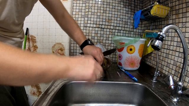 Чучело головы щуки. Первый в жизни опыт изготовления. Таксидермия. смотреть онлайн