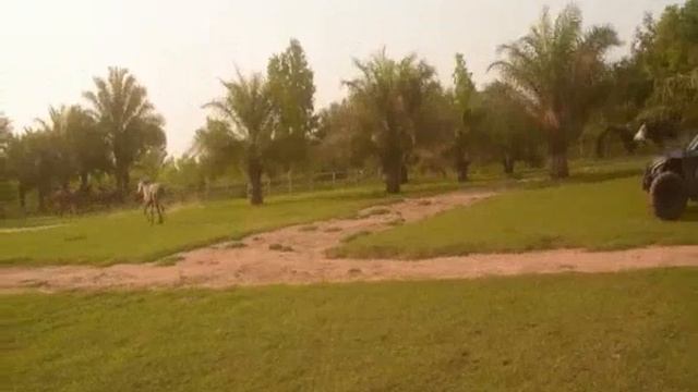 Ambassadeur Antoine Ghonda Mangalibi Kisantu смотреть онлайн