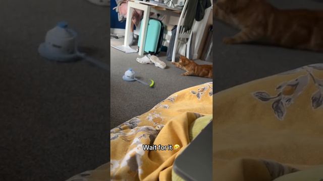 прикол смотреть онлайн