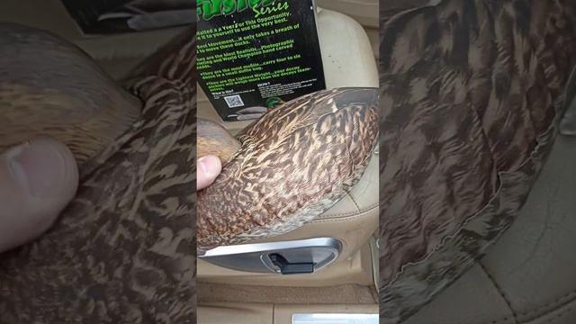 Лучшие надувные чучела уток из США #охота #hunting смотреть онлайн