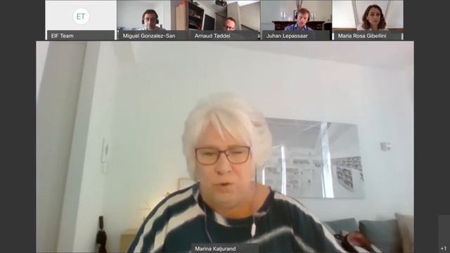 Marina Kaljurand MEP - Towards a new European Cybersecurity strategy смотреть онлайн