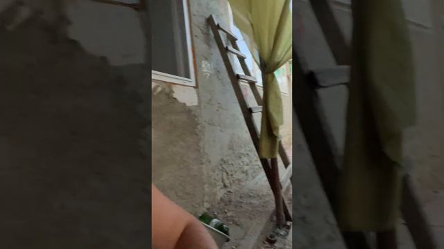 И так каждый день смотреть онлайн