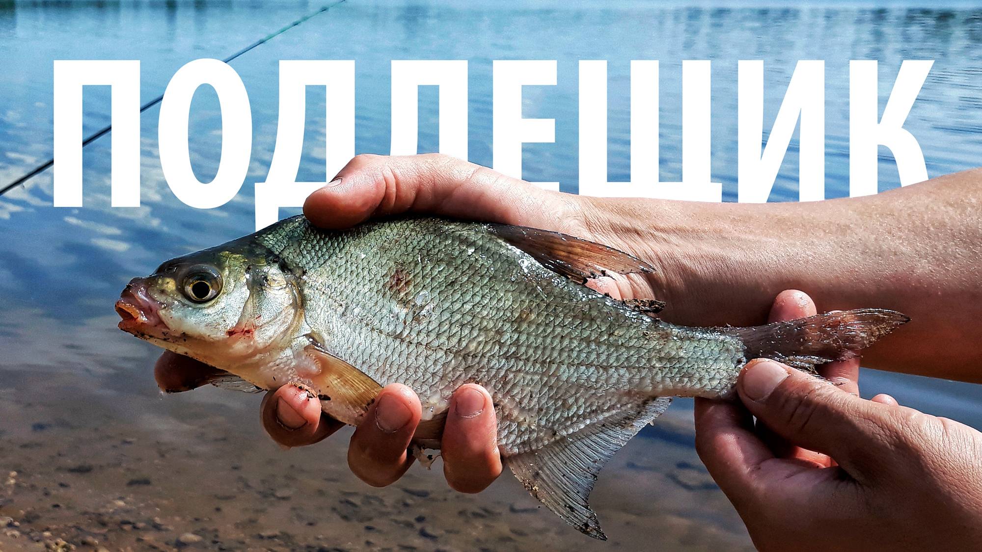 Утренний клёв не даёт покоя! Рыбалка на Рузе. Ловля подлещика на Рузском водохранилище. смотреть онлайн