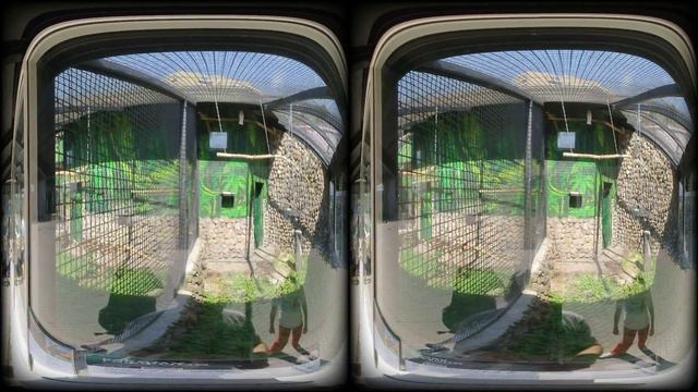 VID 20240703 100409 00 227