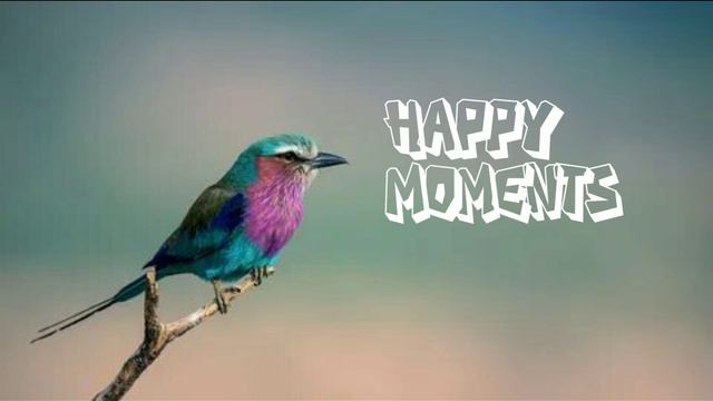 SPIKE 5348 - HAPPY MOMENTS смотреть онлайн