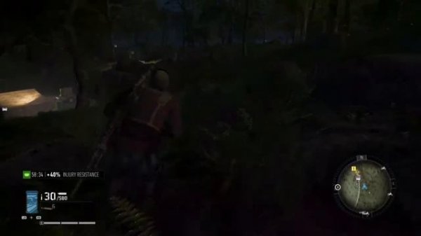 Whisper In The Wind...