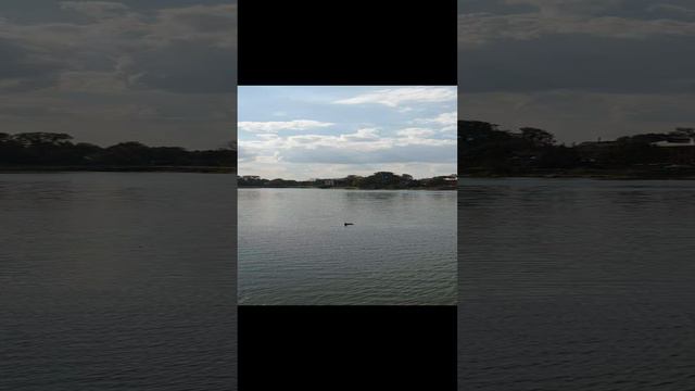 Келарский пруд: живописное место в Сергиевом Посаде... смотреть онлайн