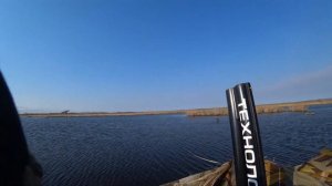 Весенняя охота на селезня с махокрылом и подсадной