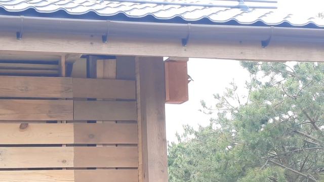 "Ура! Заработало!" смотреть онлайн