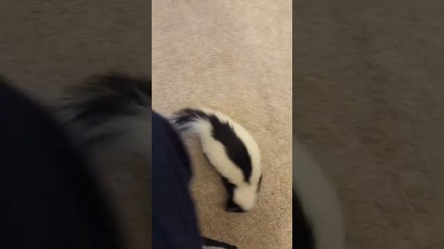 прикол смотреть онлайн