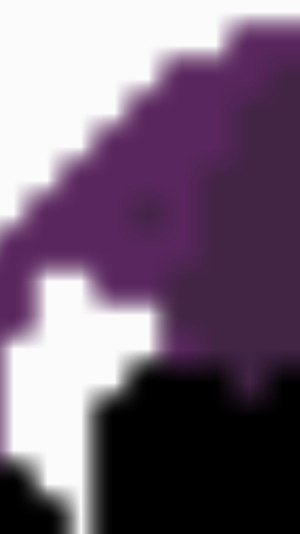 аниматоры и я