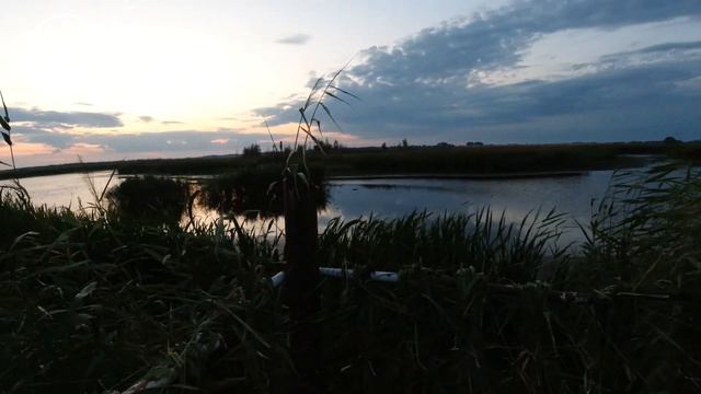 Открытие охоты 2023. Два патрона - 3 утки смотреть онлайн