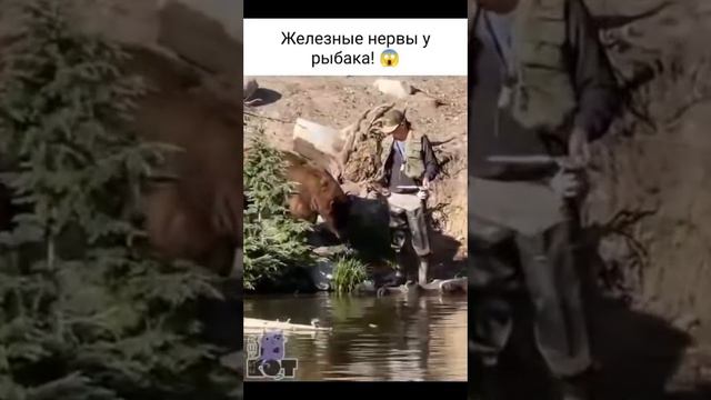 рыбак с большими яйцами