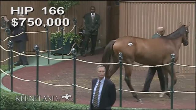 War Front-Aloof (Hip 166) At The Keeneland September Sale