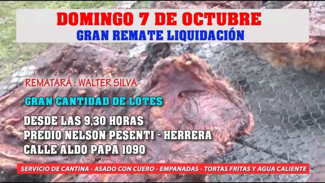 REMATE LIQUIDACION ESTE DOMINGO 7 DE OCTUBRE 2018 PREDIO NELSON PESENTI HERRERA REMATARÁ WALTER SI смотреть онлайн