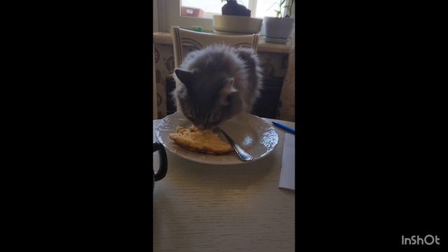 Когда хочешь кушать#shorts смотреть онлайн