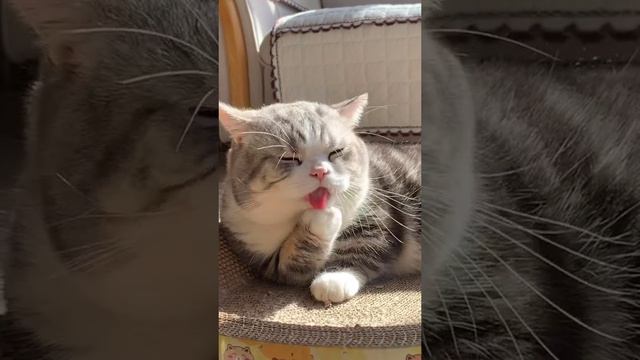 доброе утро