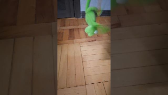 Лягушонок танцует под эпичную музыку смотреть онлайн