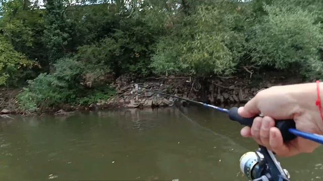 Своге смотреть онлайн