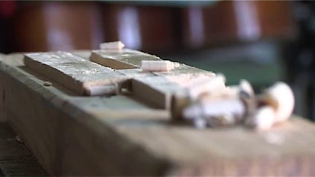 Bajka o Staszku i lirze смотреть онлайн