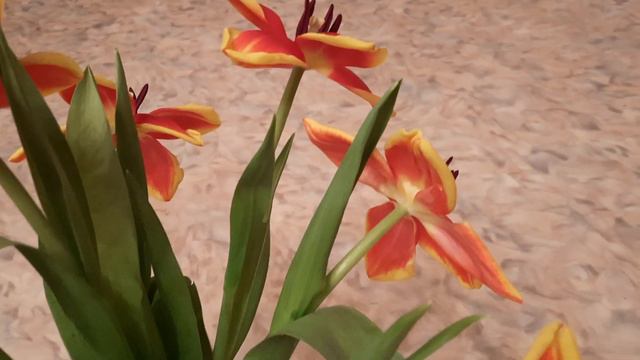 Анонс На 10600! смотреть онлайн