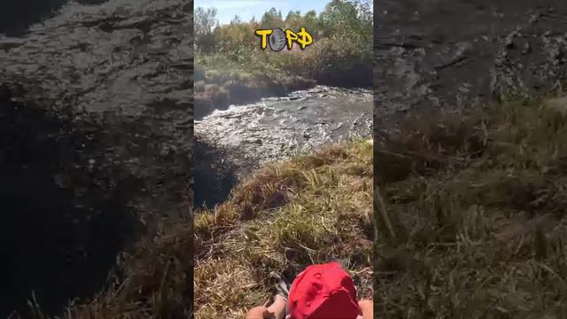 БРо на Вологодском торфе смотреть онлайн