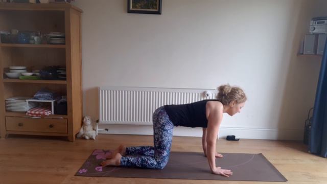 Beat the Bug Yoga (2) Shoulders смотреть онлайн