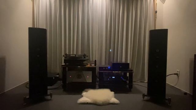 Stefano Benni -Tulipani смотреть онлайн