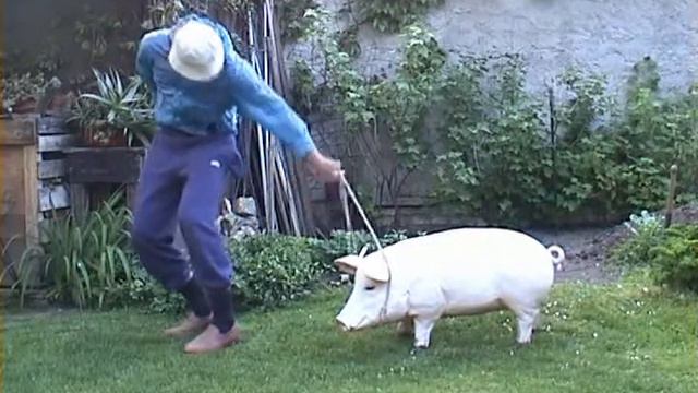 Albert & Hubert смотреть онлайн
