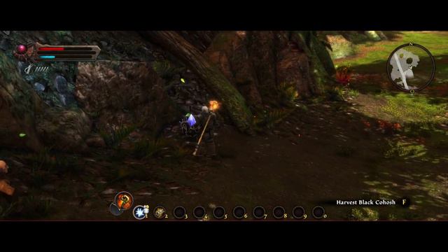 Kingdoms of Amalur: Re-Reckoning (ep 3) The outside world. смотреть онлайн