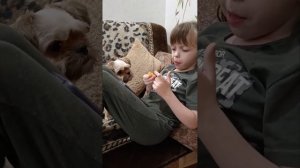 Анна ест ананас, а Йорик завидует)