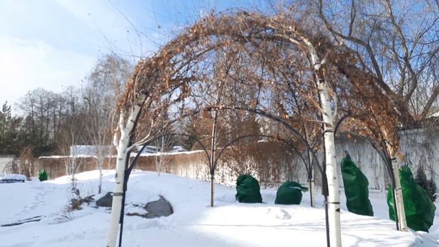 Анонс На 10700! смотреть онлайн