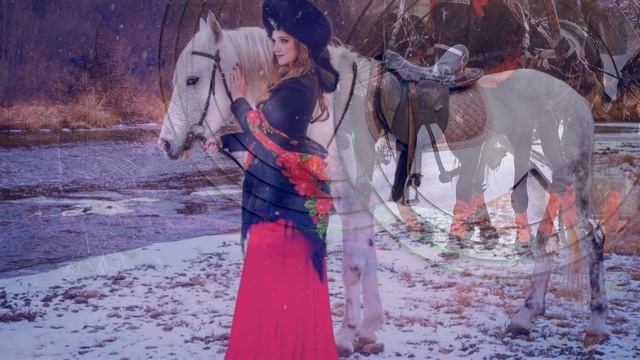 Кони Rashad Ismail смотреть онлайн