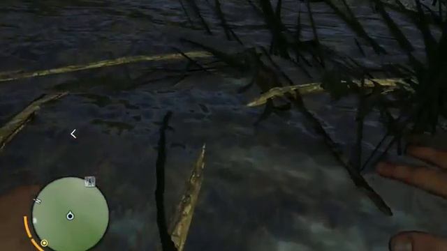 The Fox's Прохождение Far Cry 3 #2 [Чокнутый доктор] смотреть онлайн
