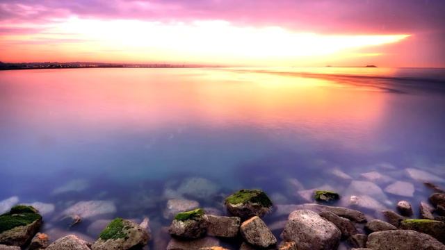 Calvin Harris - Summer (Filous Kitty Gorgi Cover) | MusicForYourLife смотреть онлайн