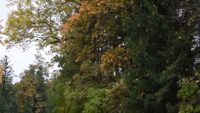 За тобою в осень А. Вайсман смотреть онлайн