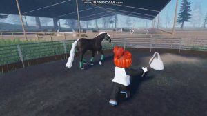 ROBLOX/Гоняем лошадей из Европы в бочки ?