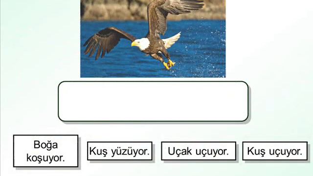 Турк тили 47 кунда 6-кун смотреть онлайн