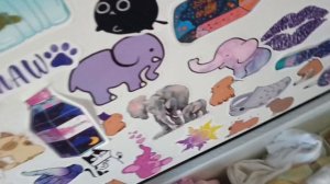 влог с реборном