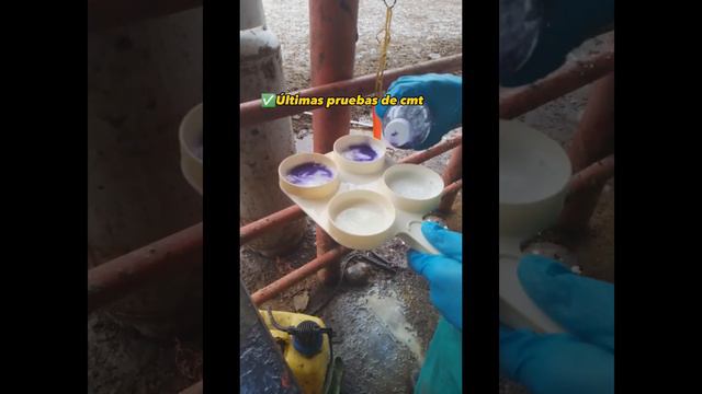 Vídeo 4: Plan preventivo para mastitis subclinica. Bachilleres: Franklin Chávez y Bárbara Peña. (MV смотреть онлайн