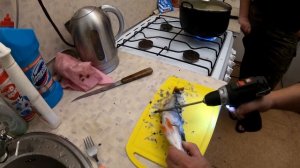 Чистка окуня саморезом и шуруповёртом. Возможно ли?