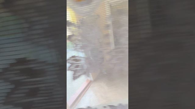 Видели такое? смотреть онлайн